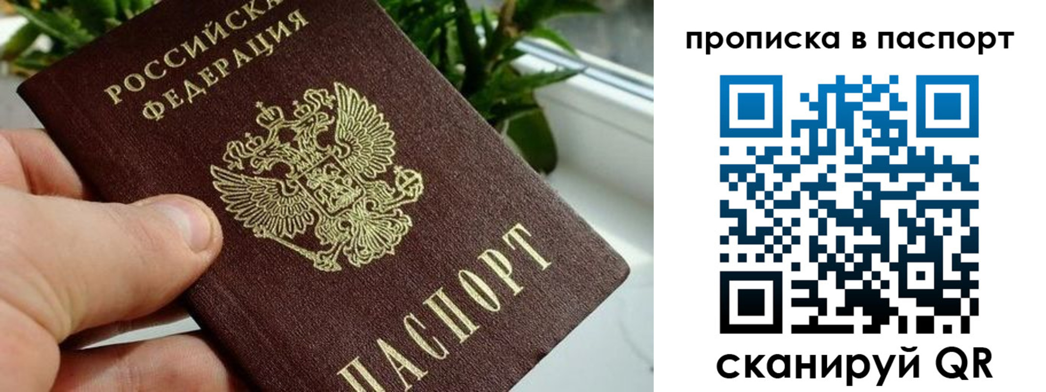 временная регистрация купить в Чехове